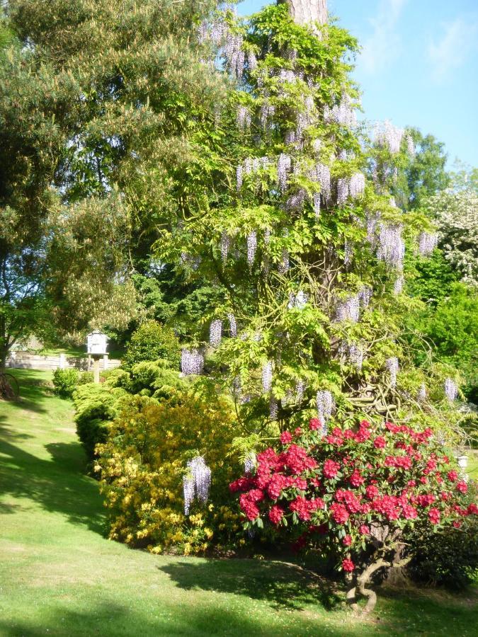 Chart House Bed And Breakfast Dorking Dış mekan fotoğraf